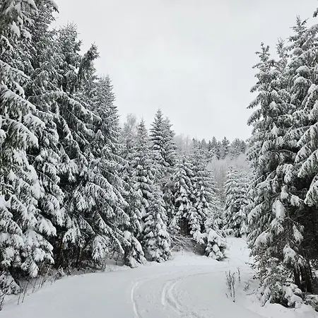 Olesnicka Chaloupka Alpstuga Olesnice v Orlickych horach